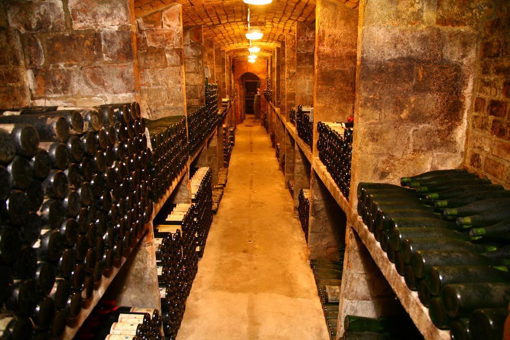 Ferienwohnung Weingut Kloster Pforta Naumburg  Room photo